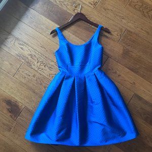 Spectacular Sachin + Babi dress